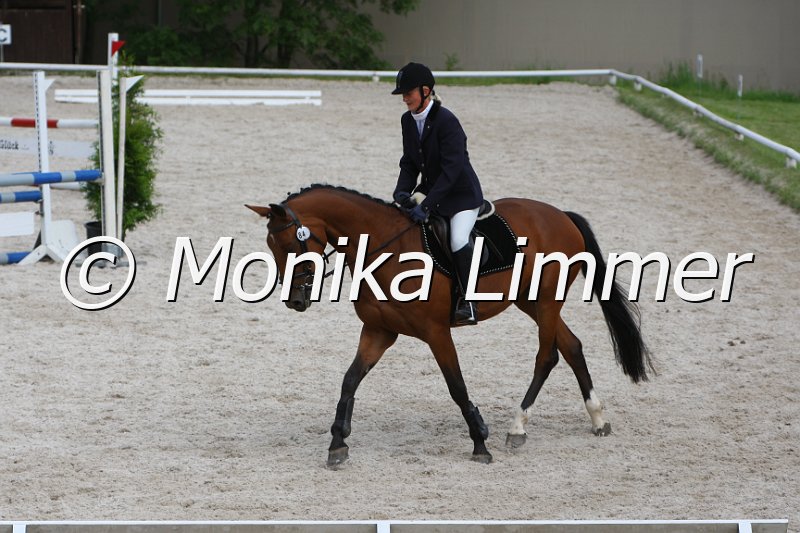 097M9338_For Fighting.JPG